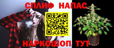стаф Рыбинск