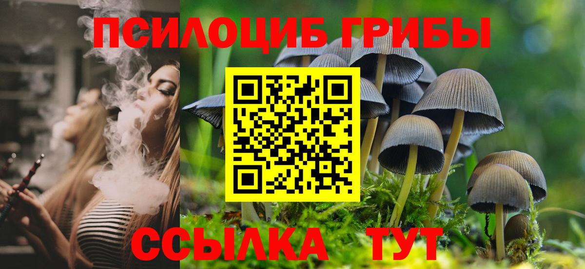 Ртищево  Псилоцибиновые грибы Cubensis  Псилоцибиновые грибы Psilocybe  Вход с VPN 
